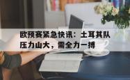 问鼎娱乐平台-欧预赛紧急快讯：土耳其队压力山大，需全力一搏