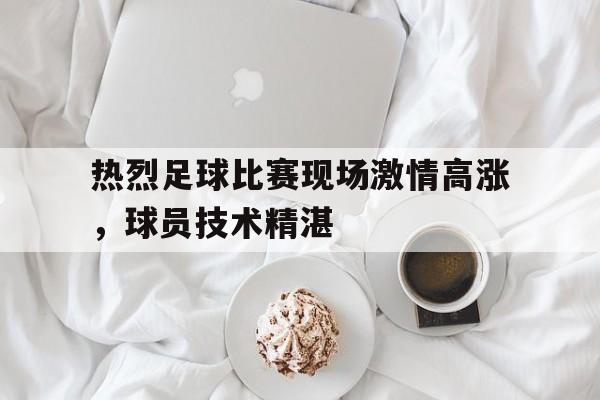 热烈足球比赛现场激情高涨，球员技术精湛
