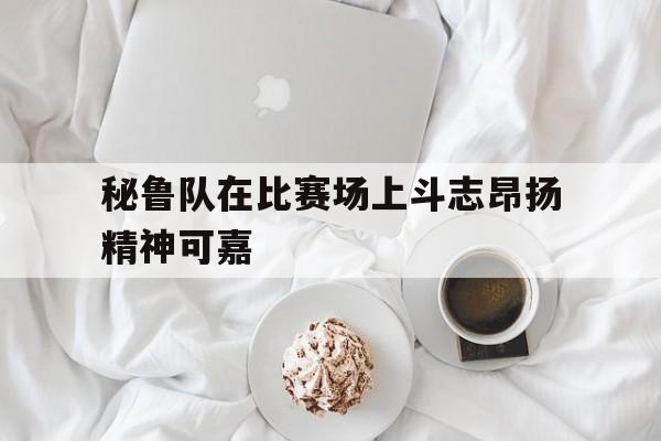 秘鲁队在比赛场上斗志昂扬精神可嘉